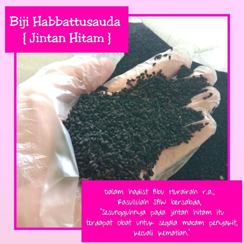 

Biji Habbattussauda / Jintan Hitam