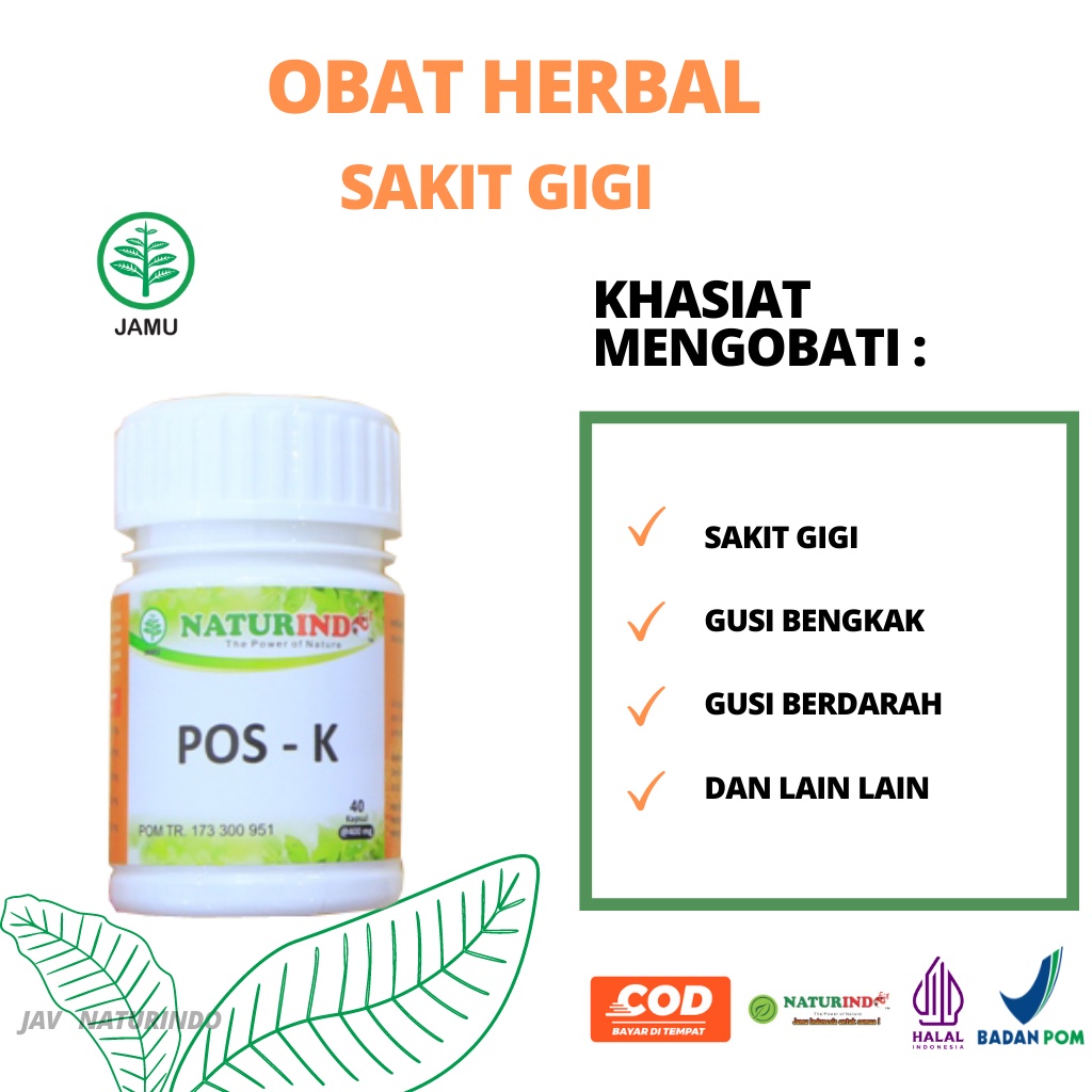 Obat Sakit Gigi Berlubang Gusi Bengkak Gusi Bernanah Sakit Gigi Herbal Ampuh