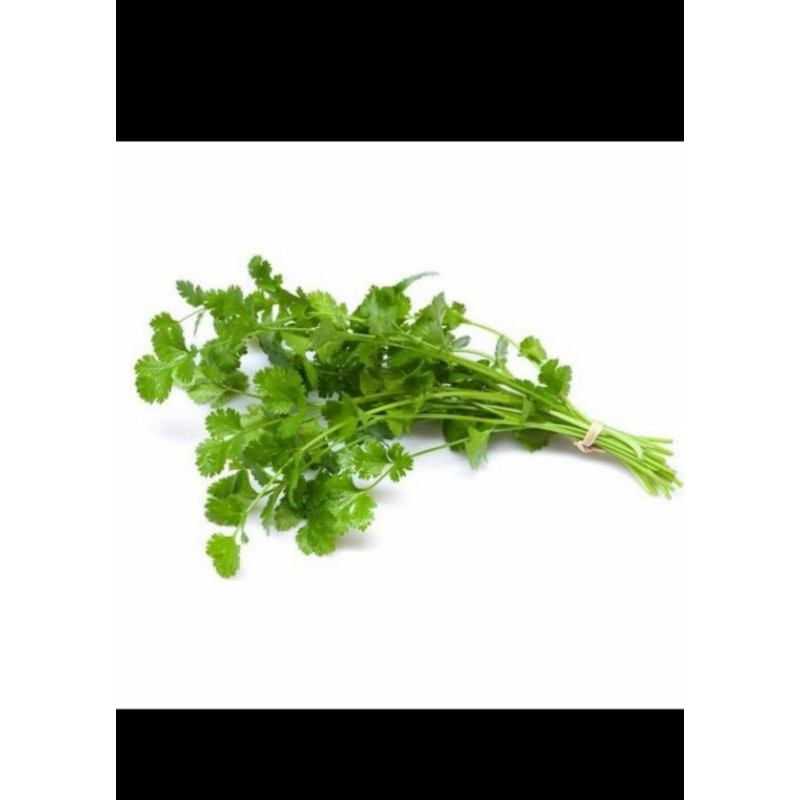 

Daun ketumbar segar fresh