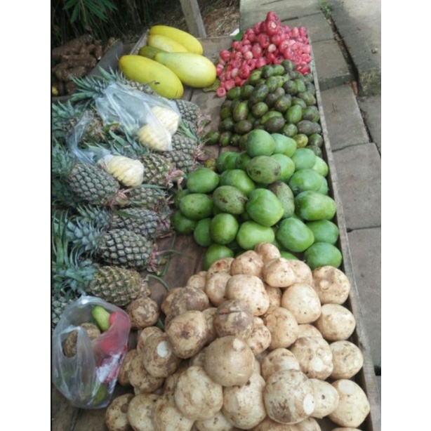 

BAHAN RUJAKAN KOMPLIT 1KG