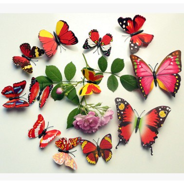 hiasan dinding wallstiker magnet kupu 3D