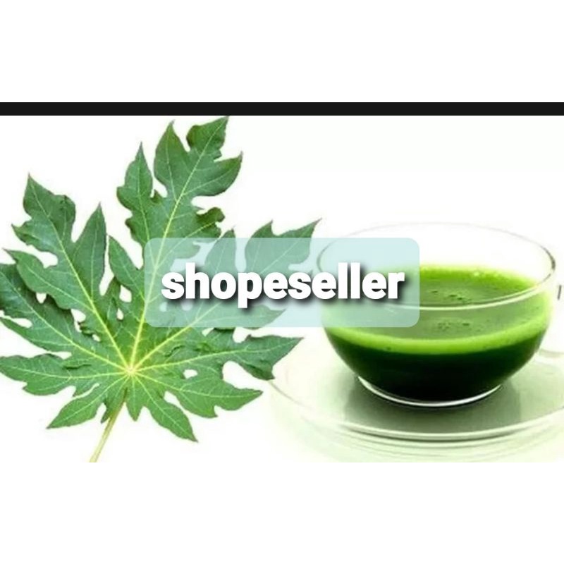 

Jual Jus Daun Pepaya uda Per Botol 600(ML)