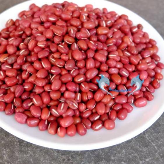 

Terbaik Kacang Merah ADZUKI 500Gr SUPER Import China / Azuki Red Beans 시