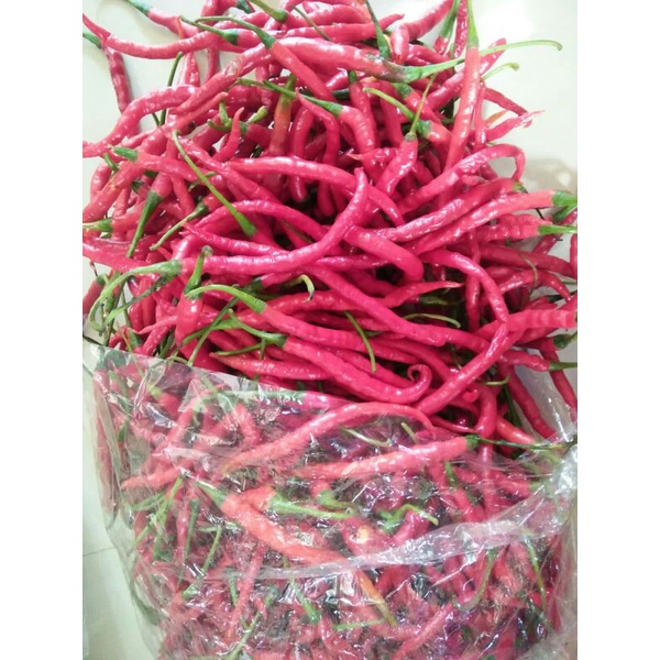 

cabe merah kriting segar 250g