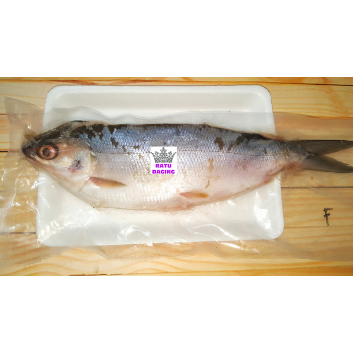

Ikan Bandeng Cabut Duri 350gr