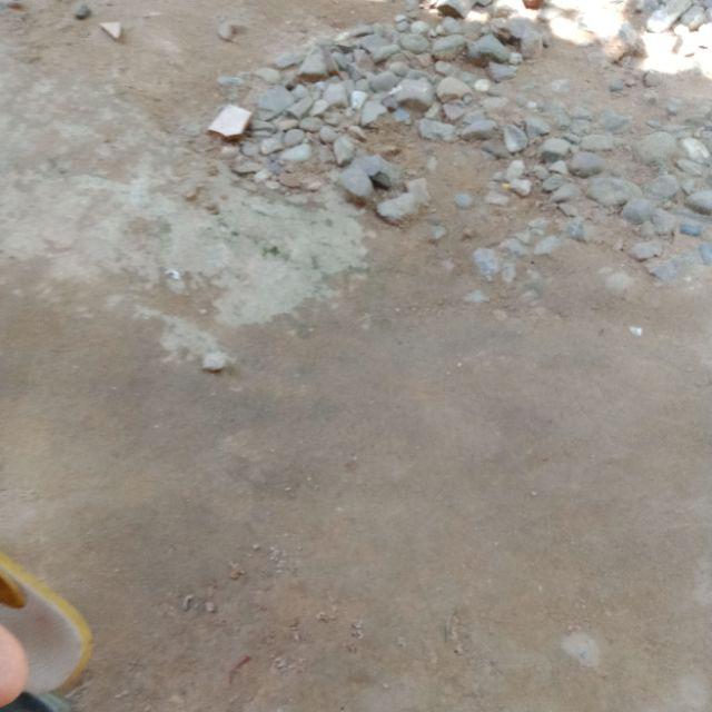 Isi Botol 60 Ml Hylos Cukai Harga 1 Biji