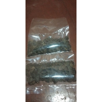 Benih Kaliandra merah