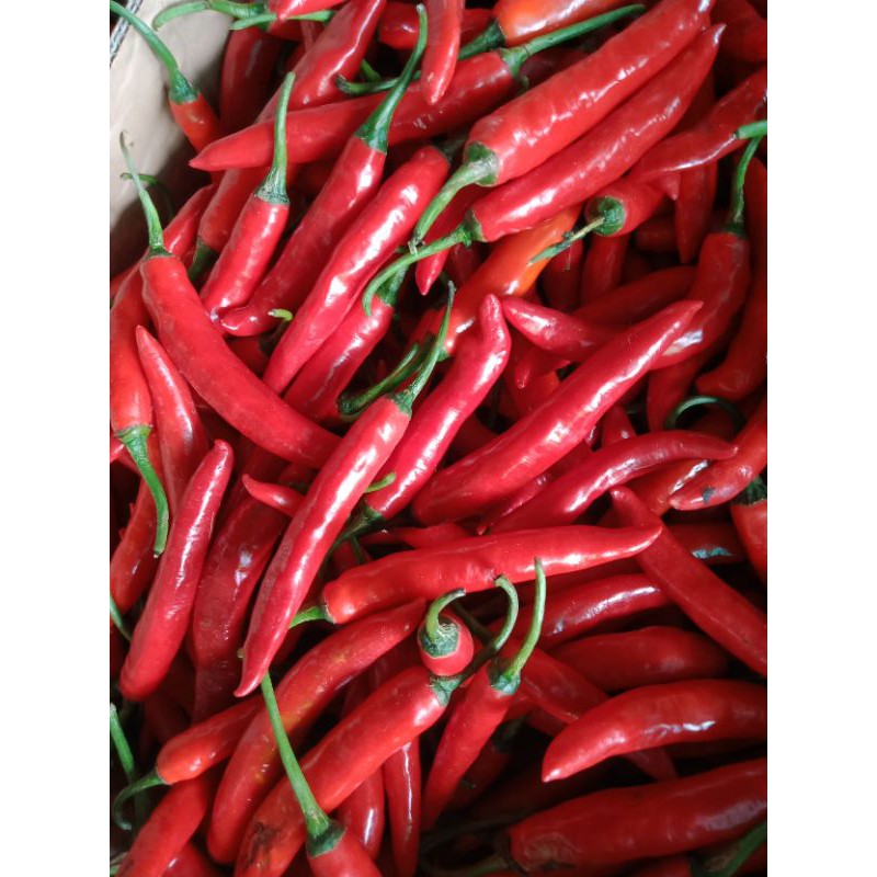 

cabe TWmerah