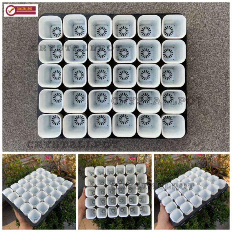 1 SET TRAY LUBANG 30 + POT NKT KOTAK 5CM PUTIH 30 PCS | TRAY SEMAI BIBIT