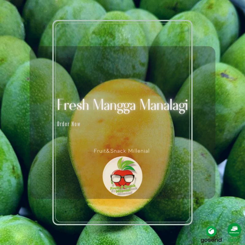 

Mangga Manalagi Madu Premium (Bobot Timbang 950gr-1100gr)