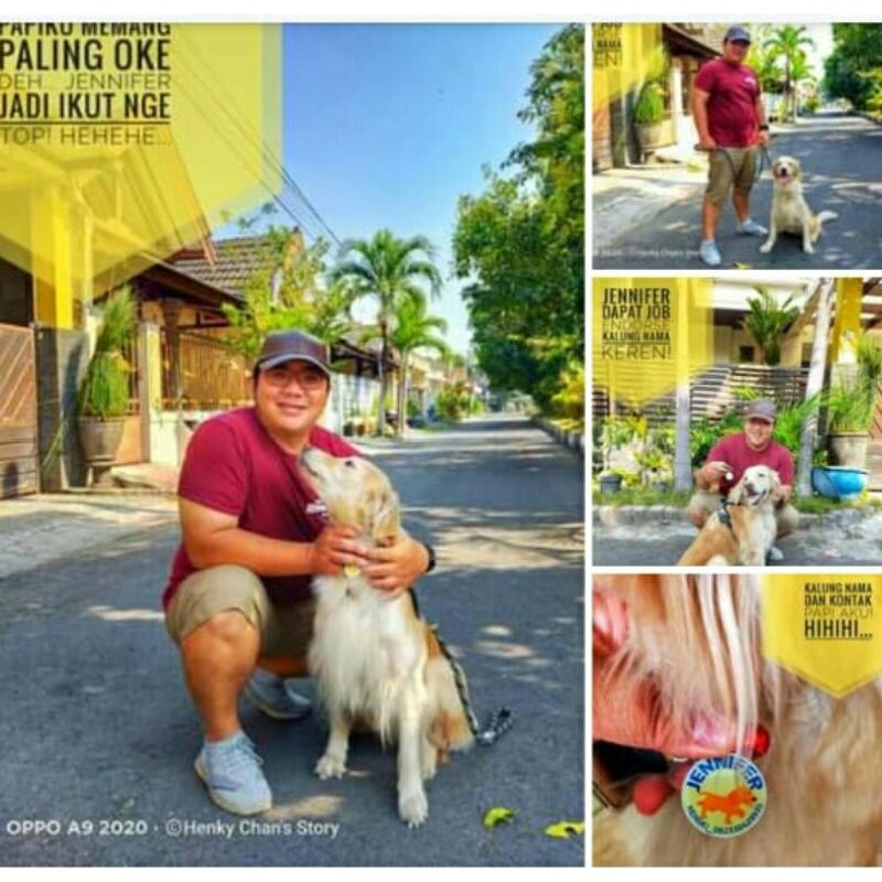Kalung nama anjing besar