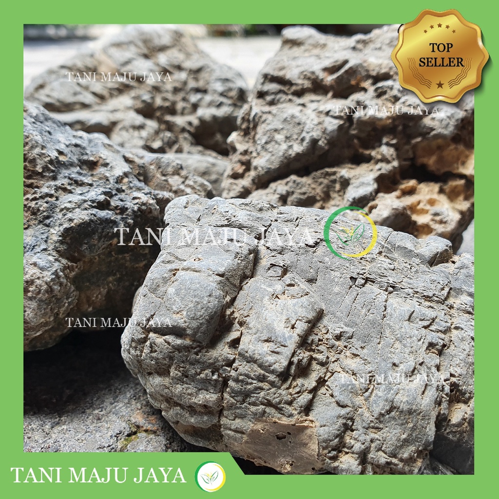 Jual Batu Turly / Turley / Turli Batu Hias Dekorasi Hardscape Aquascape ...