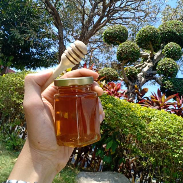 

Madu Asli / Madu Murni / Madu Liar