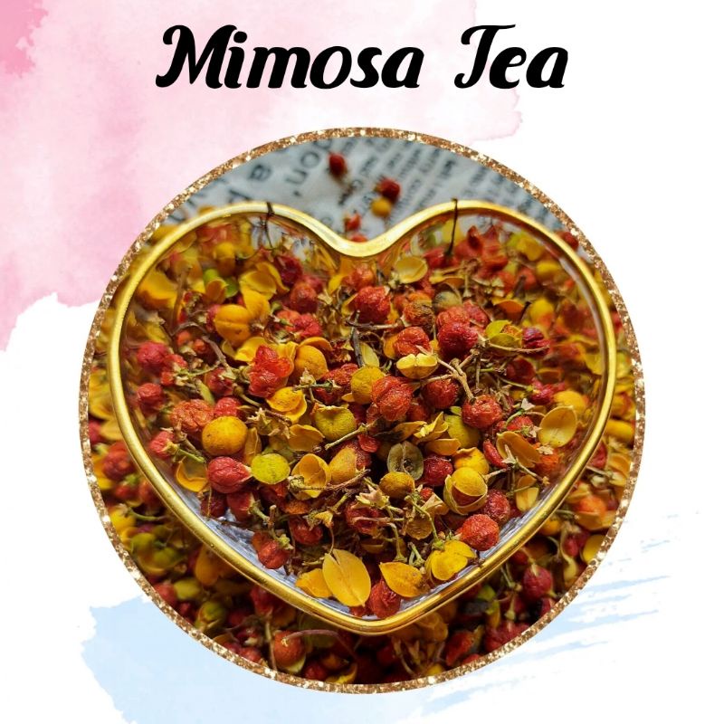 Jual Mimosa Tea 1 kg Shopee Indonesia