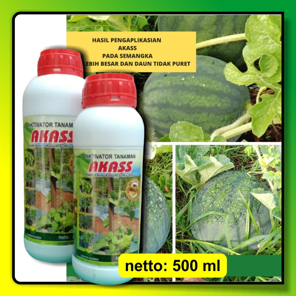 AKASS 500 ml - Nutrisi Tanaman Hias / Obat Daun Cabe Keriting dan Daun Melon Keriting / Nutrisi Tana