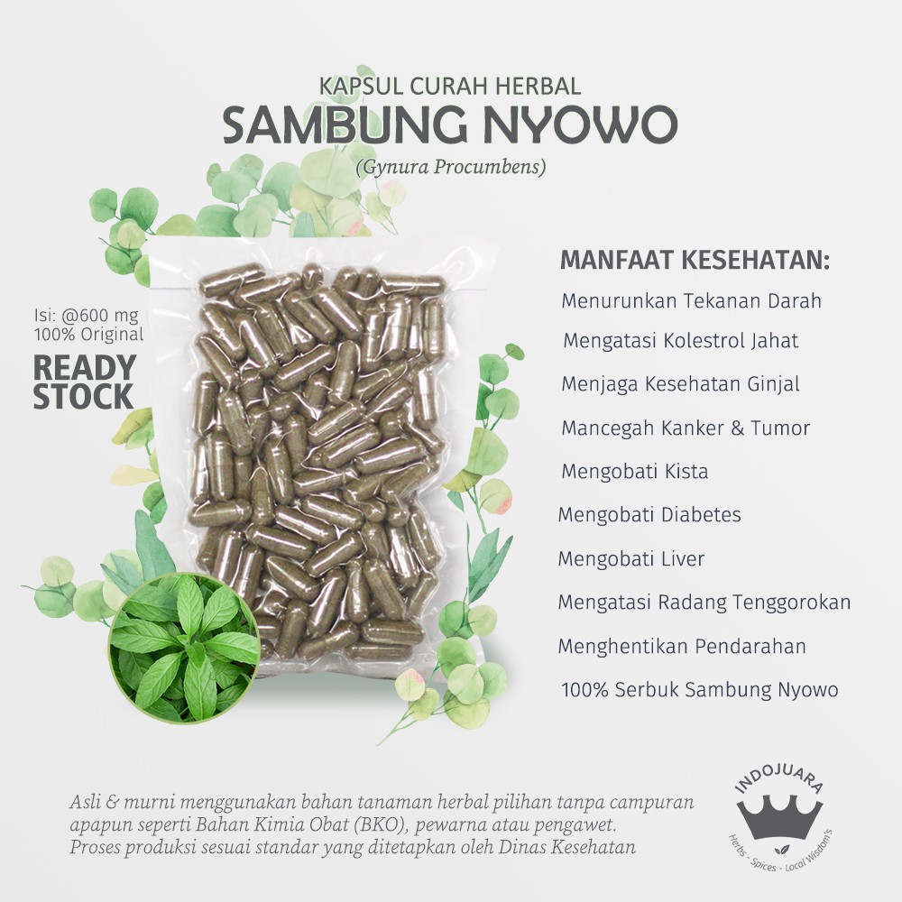 

SAMBUNG NYOWO 100 Kapsul Curah Herbal Eksim Wasir Kolesterol Hipertensi Kista Amandel Diabetes 600mg