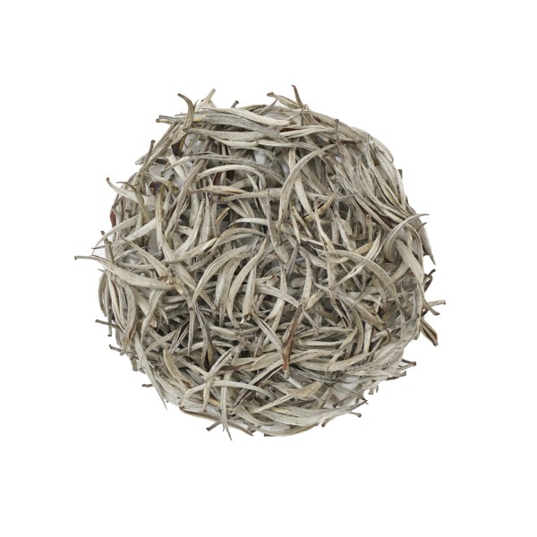 

Silver Needle