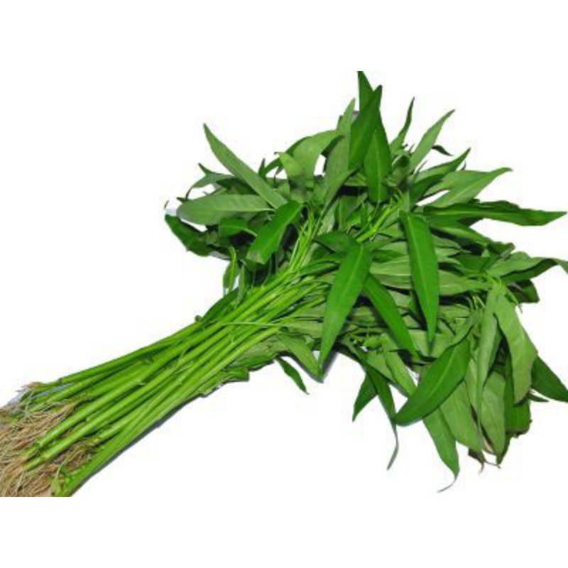 

SAYUR KANGKUNG