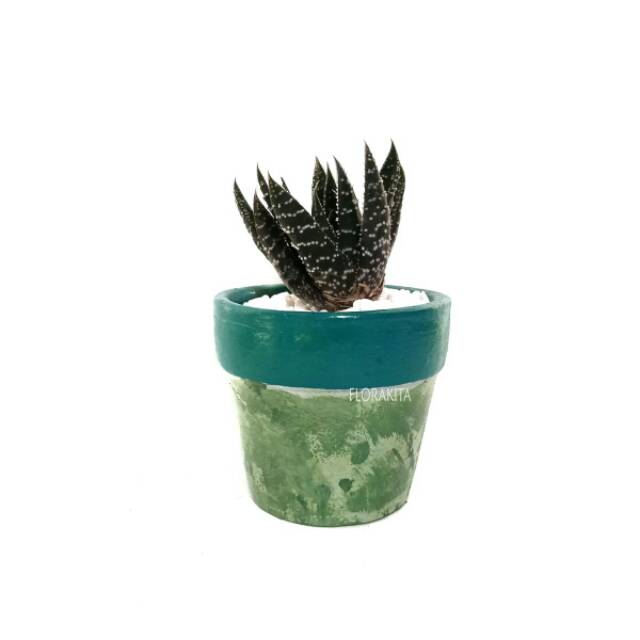 Pot Tanah Liat/Clay Pot Reyre