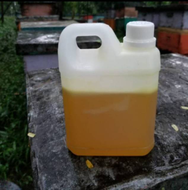MADU CAIR ASLI MURNI MULTIFLORA 1 KG