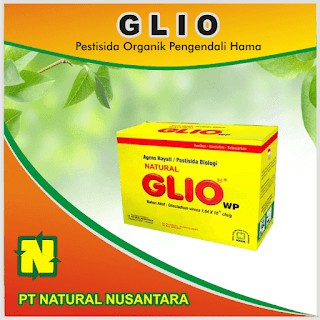 Gliocladium