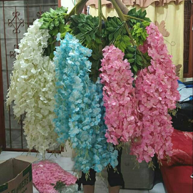 Bunga wisteria jumbo warna pink, biru, putih, merah