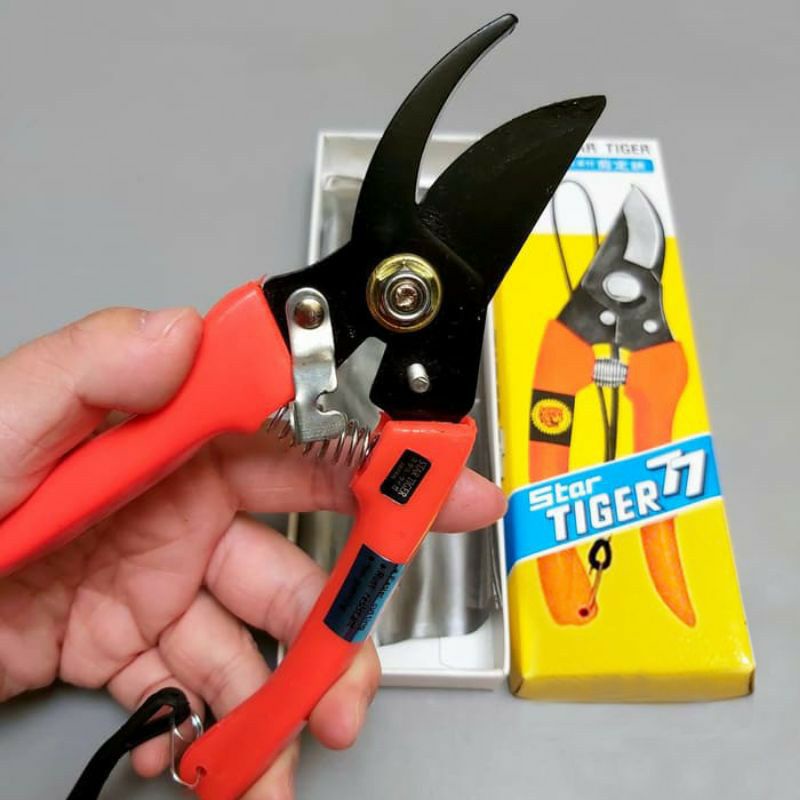 Gunting TIGER 77 Gunting Tanaman Ranting Dahan Pohon Bunga TIGER 77  7 inch Garden Shears