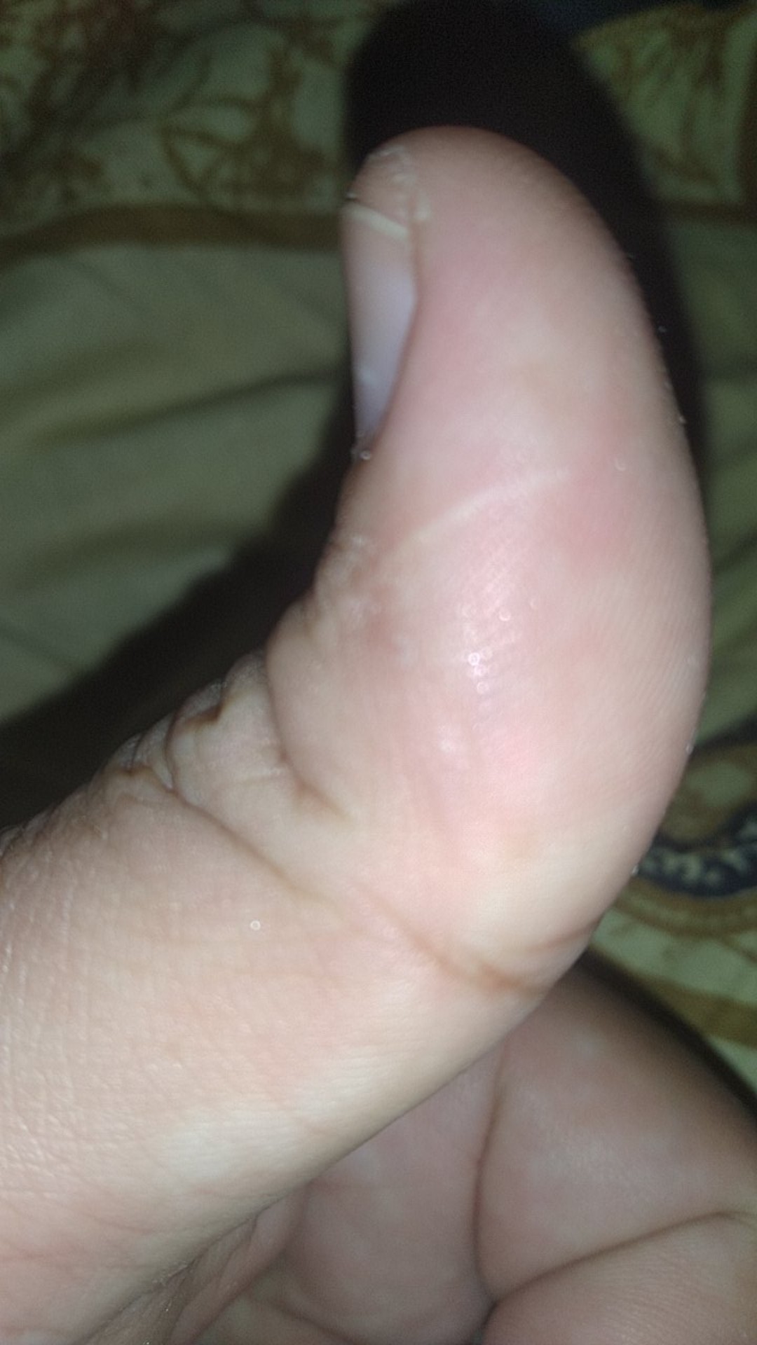 Pisau Dapur 7 Inch (17,5 Cm) Original Gagang Kayu Tramontina Brasil