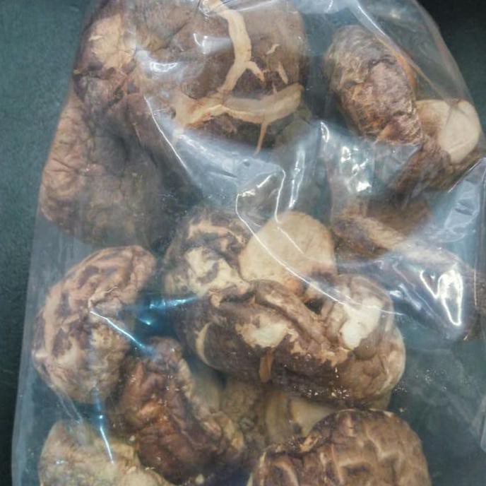 

Promo !! Jamur hioko Terbaru