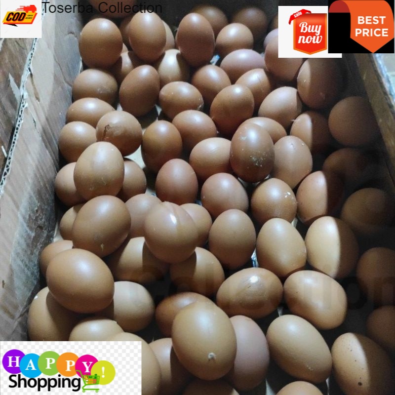 

Toserba Collection Telur Ayam 1kg Bandung-Cimahi