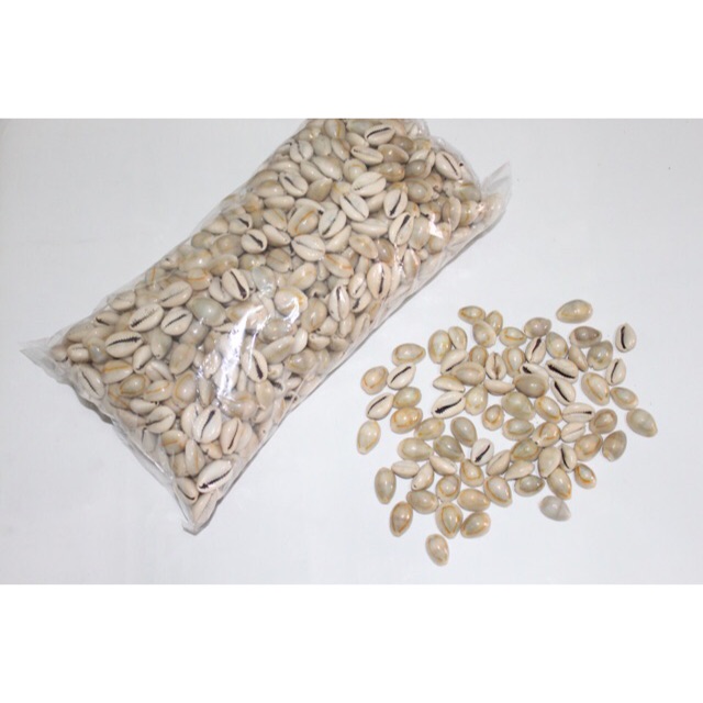 Biji Congklak / Kuwuk