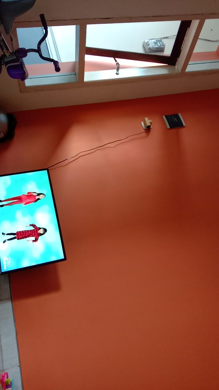 Obat / Racun Anti Semut Ampuh (mati Di Sarang)