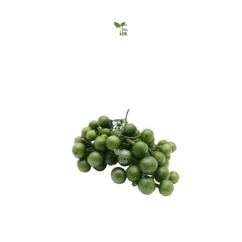 

leunca / lenca sayuran 250 gram