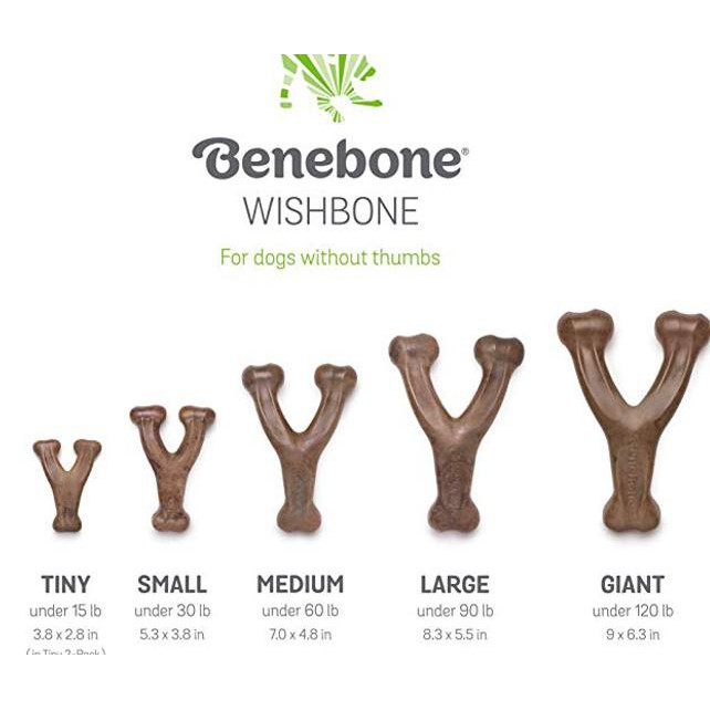 dog wishbone toy