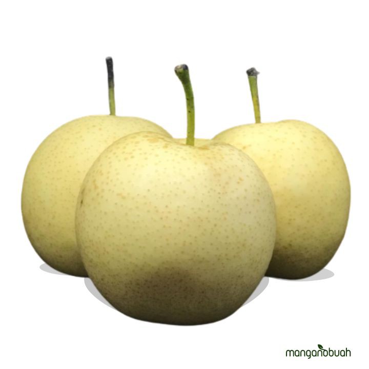 

Manganobuah - Pear Century