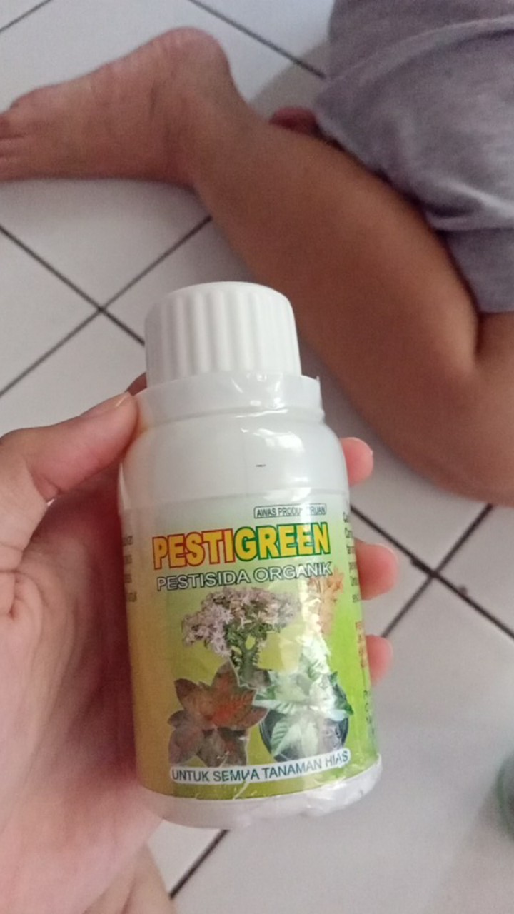 Pestisida Organik