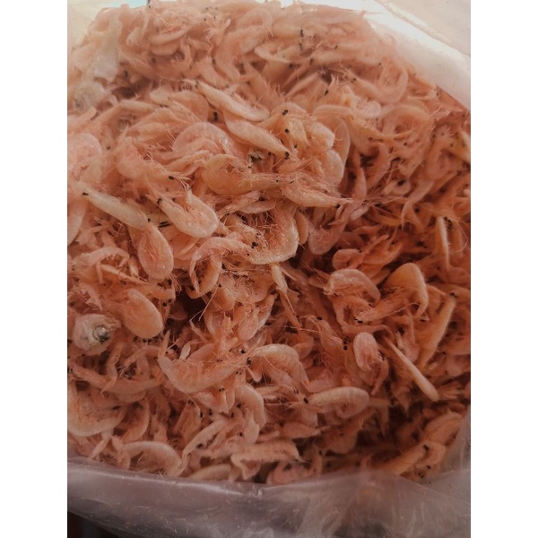 

udang rebon