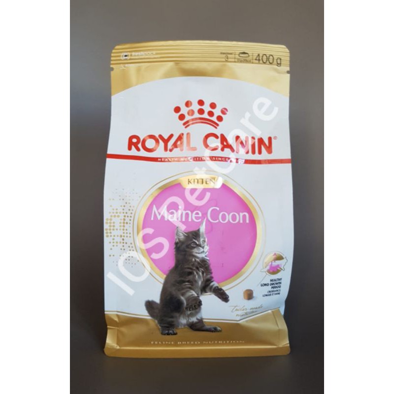 Jual Royal Canin Maine Coon KITTEN dry food 400gr fresh pack Shopee