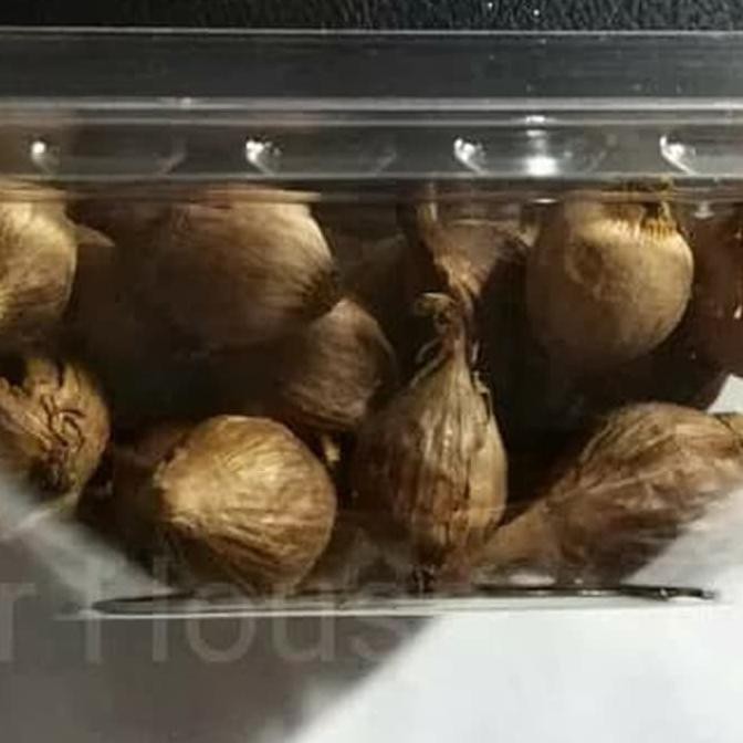 Promo Harga Murah Homemade Bawang Putih Hitam Black Garlic Tunggal 100gr 100gr Terbaru Shopee Indonesia