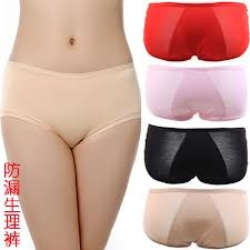 TBI CELANA DALAM HAID ANTI TEMBUS - MENSTRUAL PERIOD UNDERWEAR