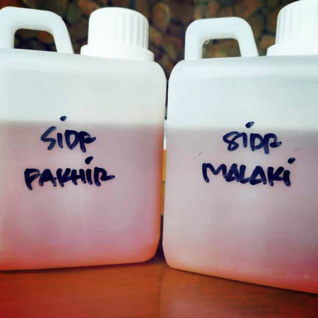 

Madu Sidr Yaman