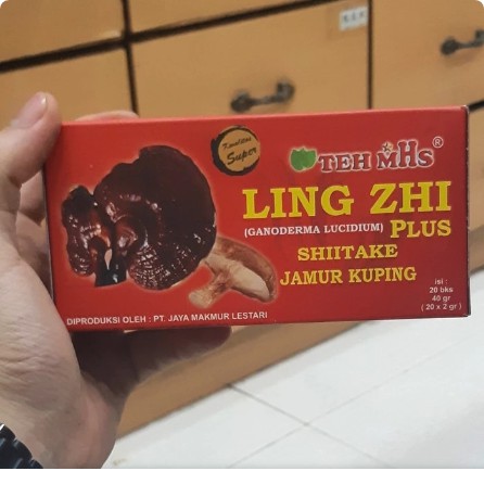 

ORIGINAL TEH mHs Ling Zhi Plus Shitake Jamur Kering - Pengobatan Kanker Tumor