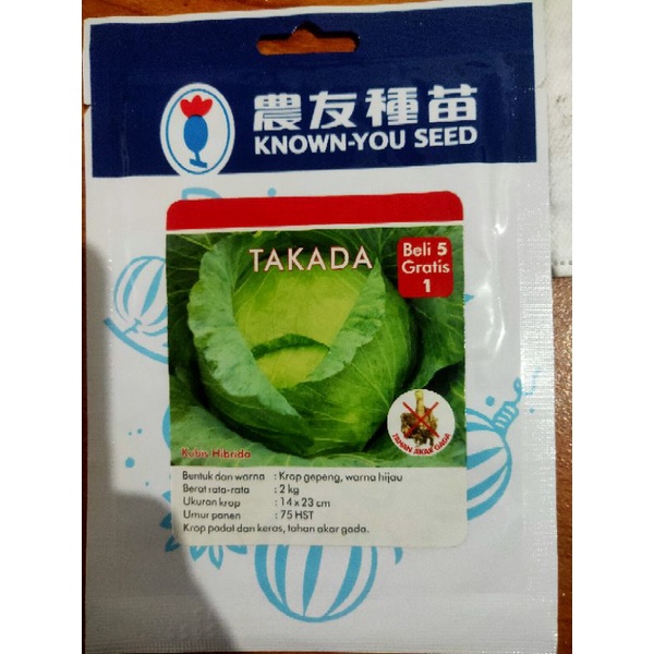 takada kubis hibrida
