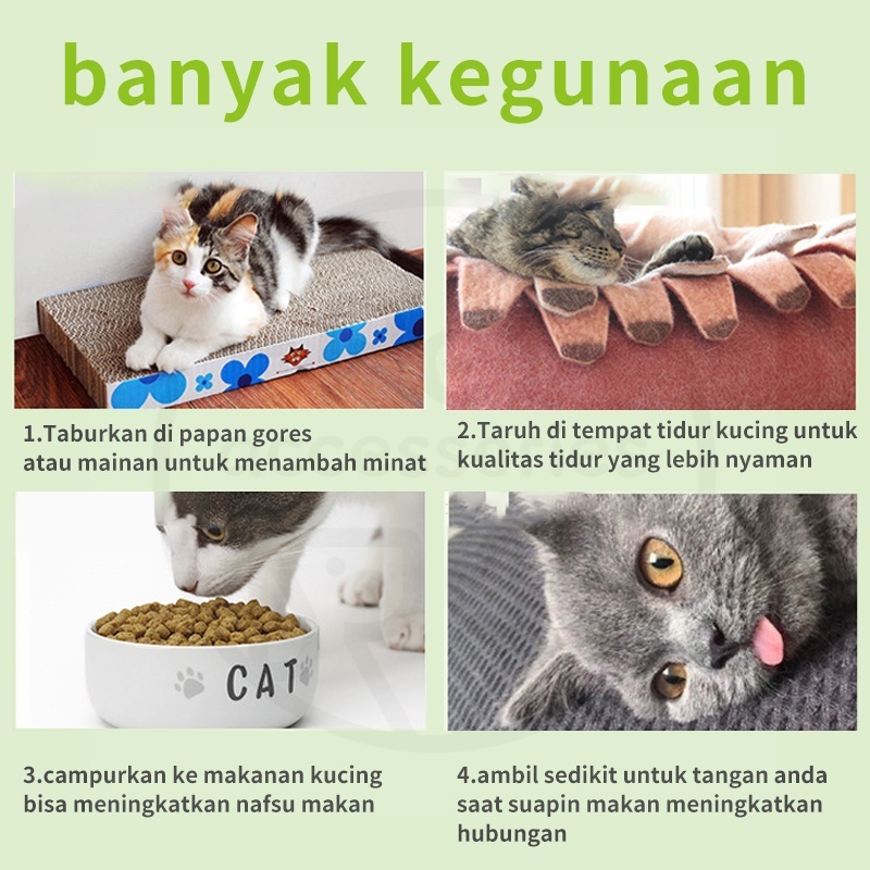 Catnip Snack Kucing Pure Cat Mint Powder Cemilan Hewan Peliharaan Kucing Pelengkapan Mainan Hewan Peliharaan