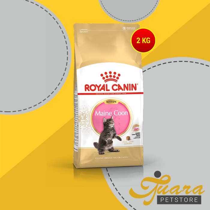 Royak Canin Kitten Mainecoon 2 Kg