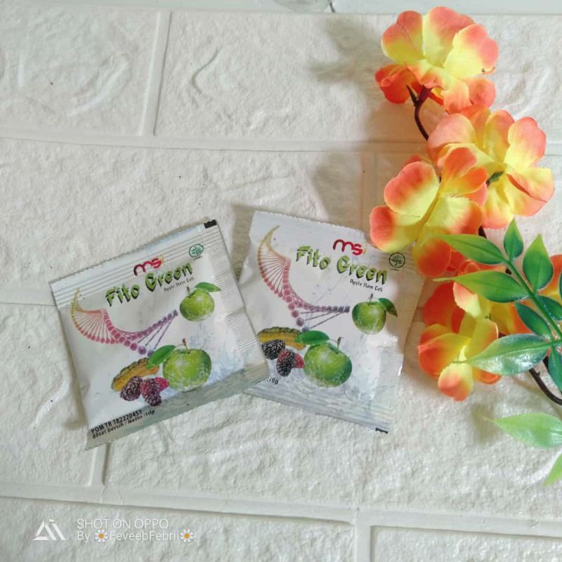 FITO GREEN MSI