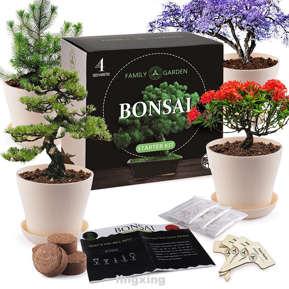 Jual Pot Kids Indoor Diy Tool Germination Drip Tray Gardening Starter Bonsai Tree Kit Indonesiashopee Indonesia
