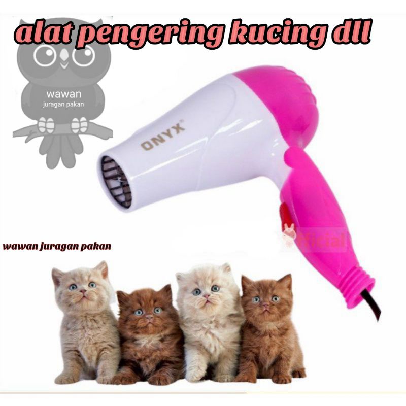 pengering bulu kucing,