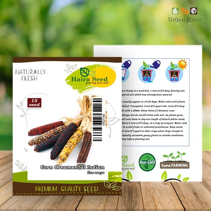 Bibit-Biji Jagung Ornamental Indian (Haira Seed)