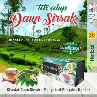 

TEH CELUP HERBAL SIRSAK
